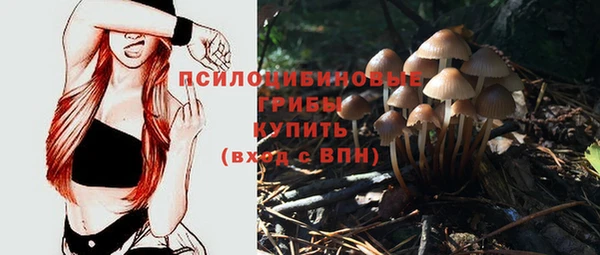 мяу мяу мука Абдулино