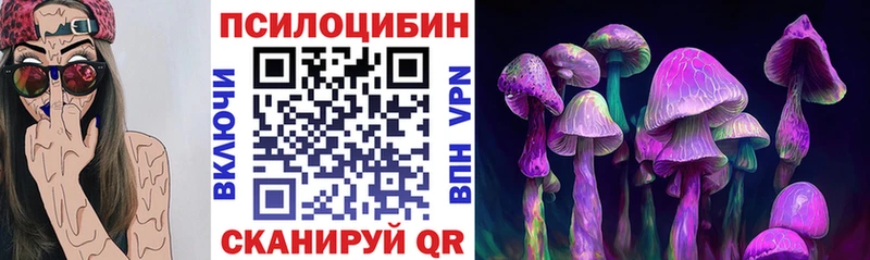 маркетплейс телеграм  Карачев  Галлюциногенные грибы GOLDEN TEACHER 