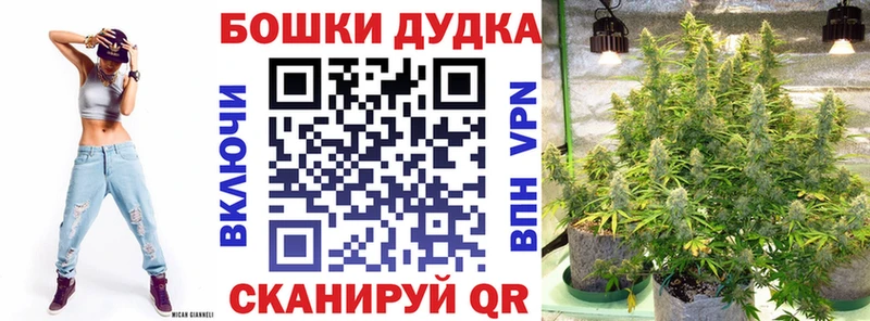 Марихуана Amnesia  сайты даркнета наркотические препараты  Карачев 
